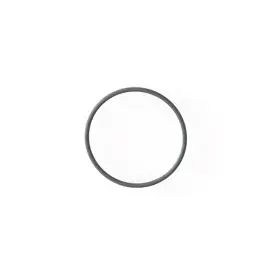 [411173-R] VIQUA Joint torique de tête de lampe 411173-R